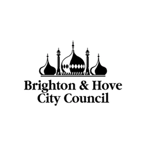 Donna Chisholm, Brighton and Hove City Council